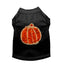 Chiffon Rose Halloween Pumpkin Shirt - Your Pet Connection