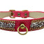Bark Fifth Avenue Rhinestone Gold Chain Dog Collar