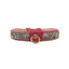 Bark Fifth Avenue Rhinestone Gold Chain Dog Collar