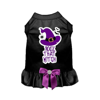 100% That Witch Dog Dress - Your Pet Connection