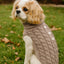 Pumpkin Pie Pearl Knit Dog Sweater - Your Pet Connection