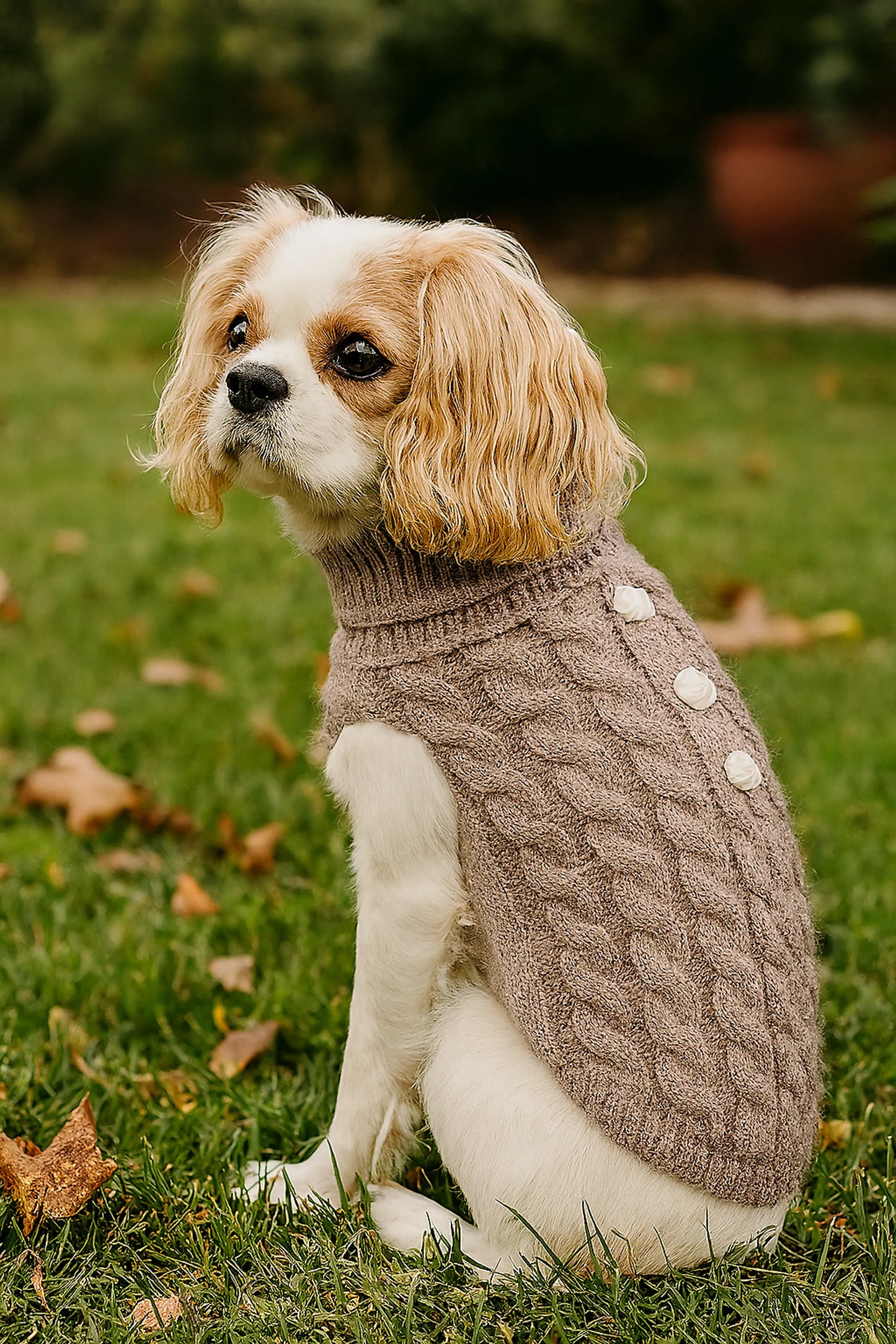 Pumpkin Pie Pearl Knit Dog Sweater - Your Pet Connection