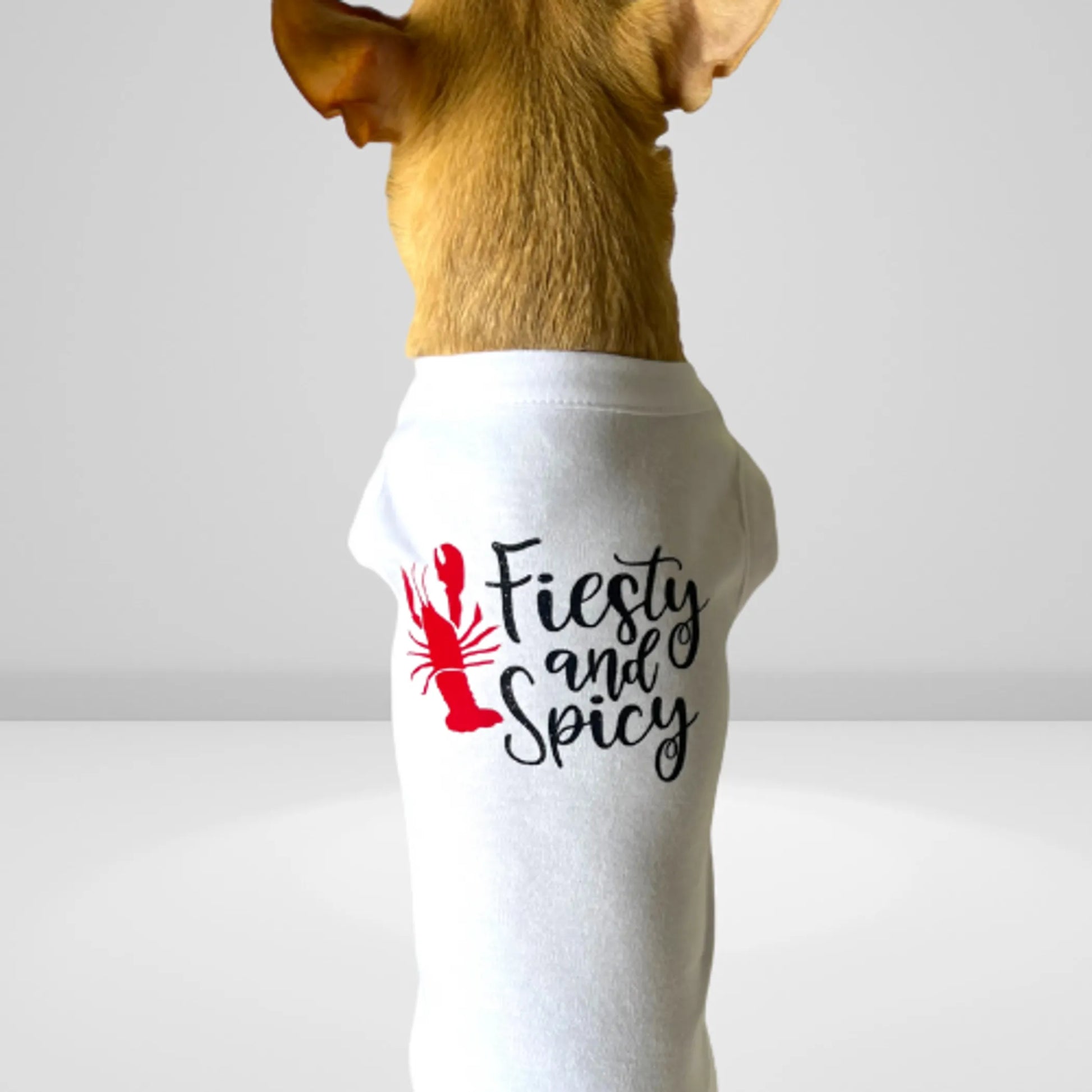 Feisty & Spicy Dog Tee - Your Pet Connection