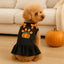 Harvest Paw Pumpkin Party Dress - Your Pet Connection