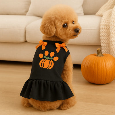 Bark Fifth Avenue Harvest Paw Pumpkin Dress