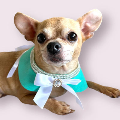 Sniffany Blue Neck Collar- Dog Neck Collar - Your Pet Connection