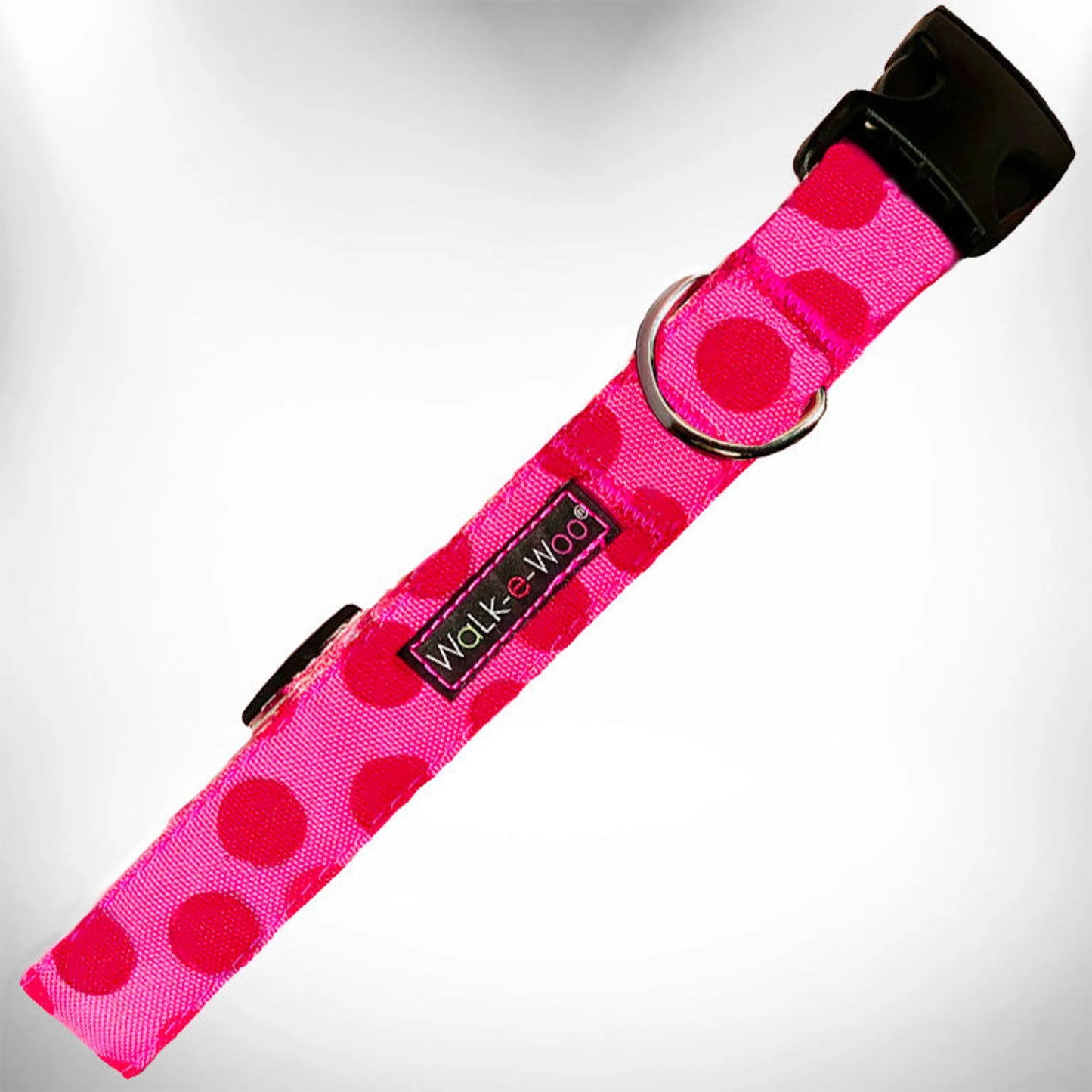 Polka Dot Dog - Monotone Collars - Your Pet Connection