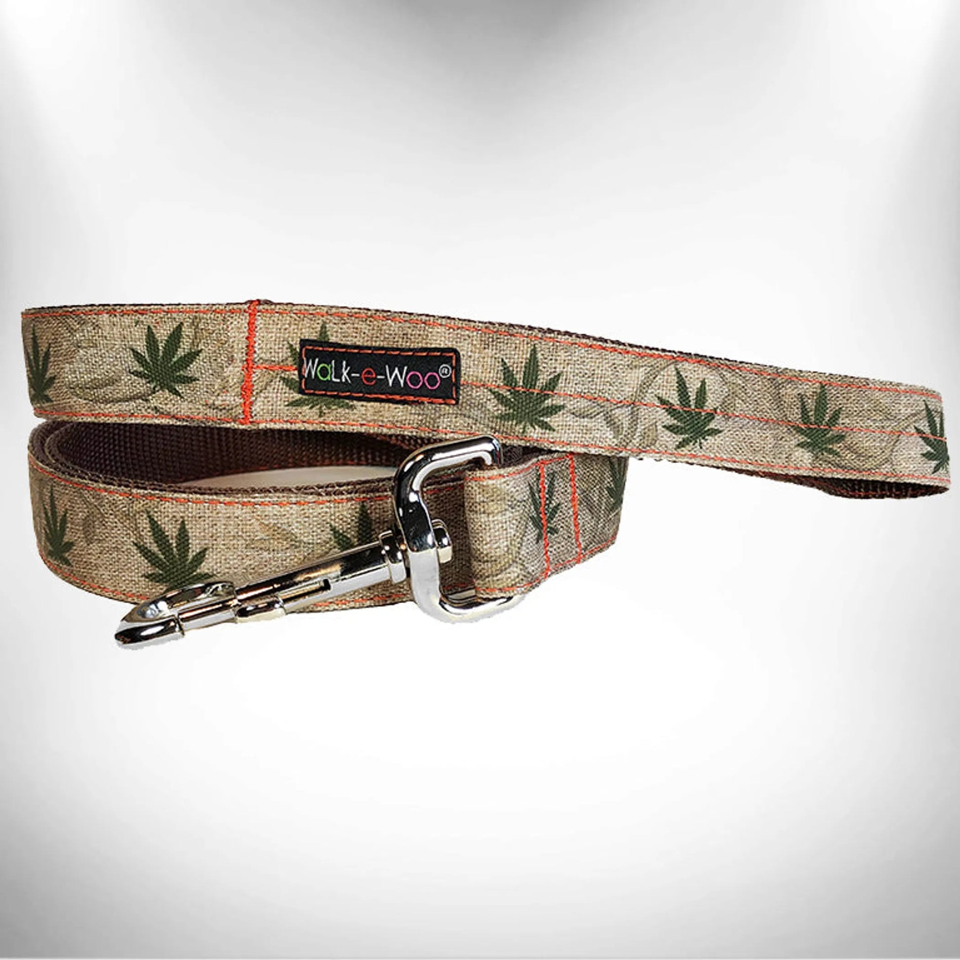 RaDog Leash - Your Pet Connection