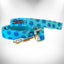 Walk-e-Woo Colorful Monochrome Dog Collars 20-50cm