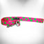 Walk-e-Woo Neon Polka Dot Dog Collar