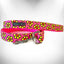 Walk-e-Woo Flower Power Dog Collars - Adjustable