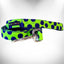 Walk-e-Woo Neon Polka Dot Dog Collar