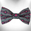 Southwestern Bow Tie - Your Pet Connection