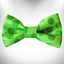 Polka Dot Dog - Monotone Bow Tie - Your Pet Connection