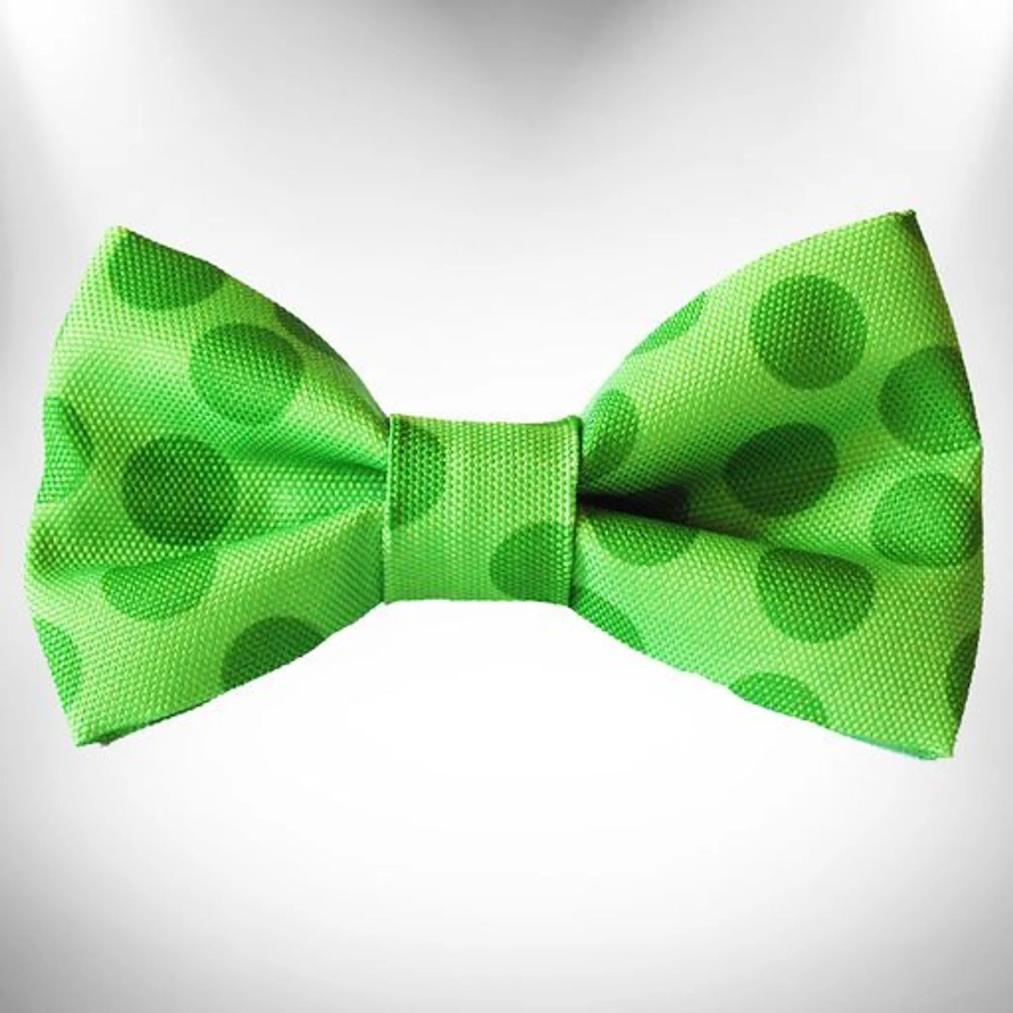 Polka Dot Dog - Monotone Bow Tie - Your Pet Connection