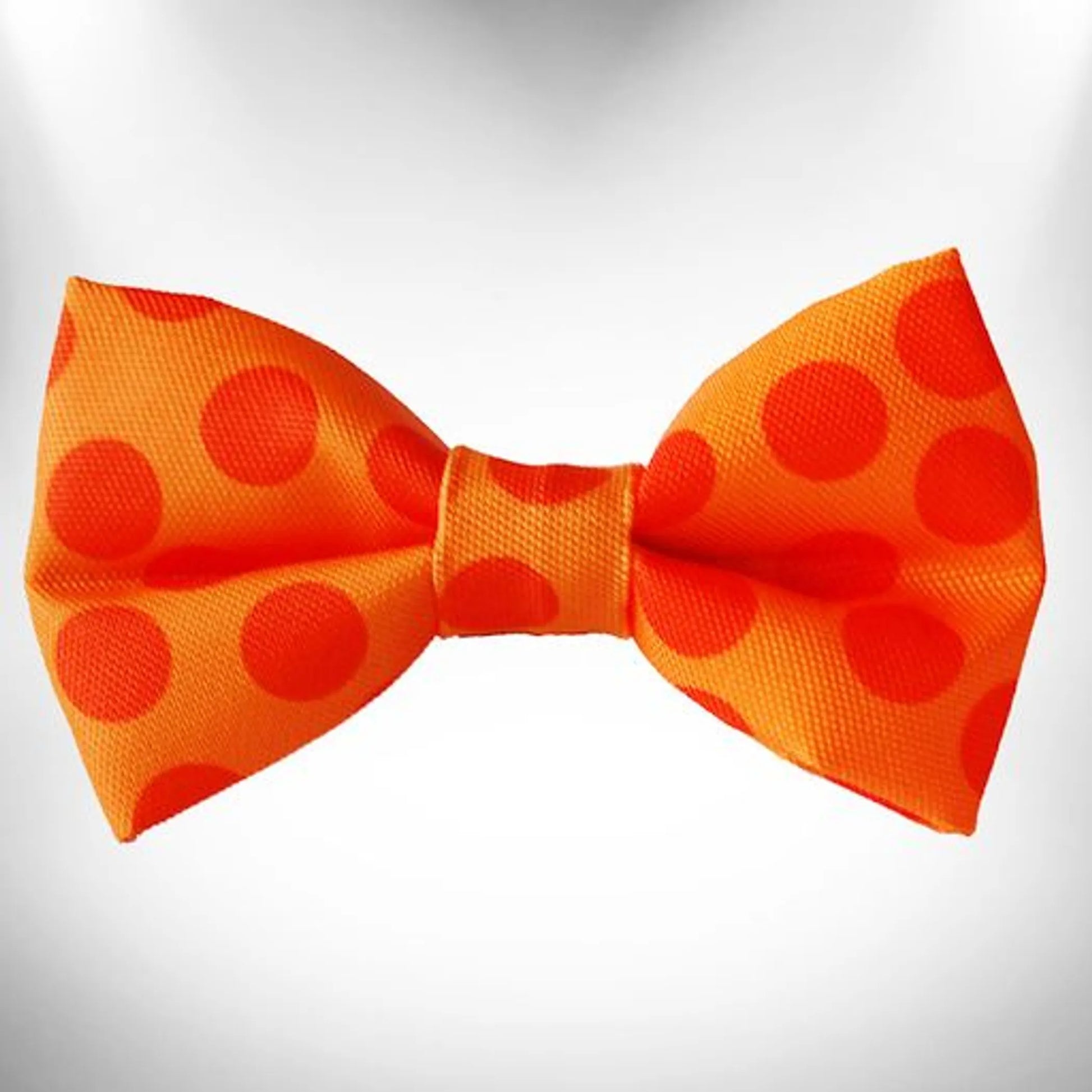 Polka Dot Dog - Monotone Bow Tie - Your Pet Connection