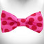 Polka Dot Dog - Monotone Bow Tie - Your Pet Connection
