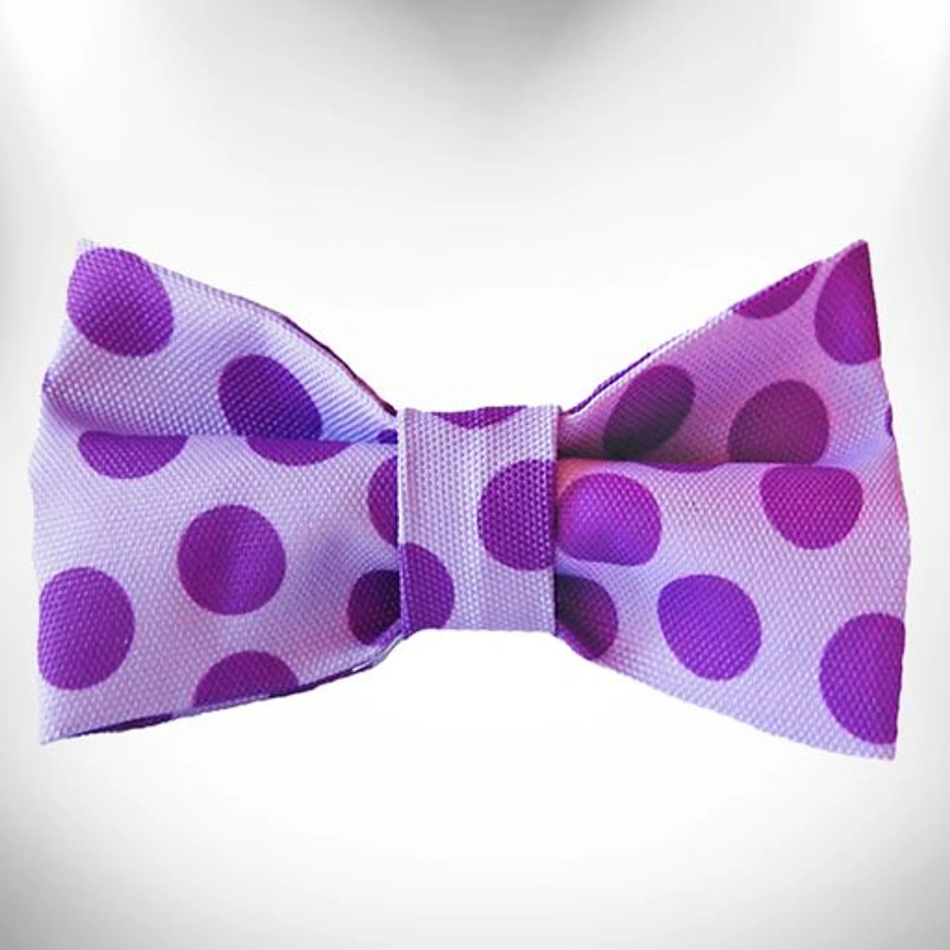 Polka Dot Dog - Monotone Bow Tie - Your Pet Connection