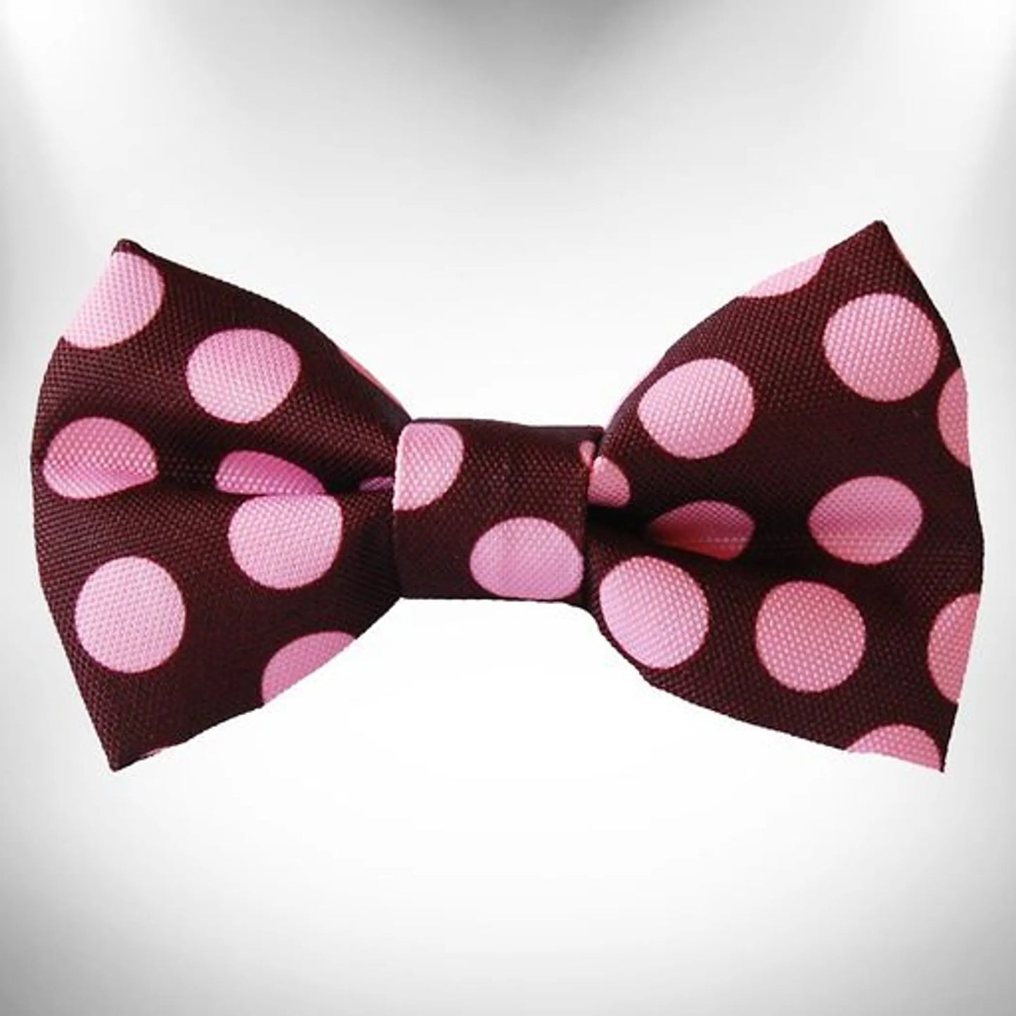 Polka Dot Dog Bow Tie - Your Pet Connection