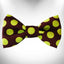 Polka Dot Dog Bow Tie - Your Pet Connection