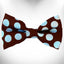 Polka Dot Dog Bow Tie - Your Pet Connection