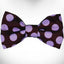 Polka Dot Dog Bow Tie - Your Pet Connection