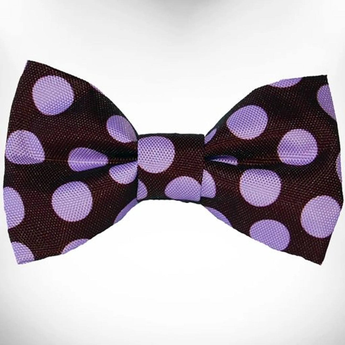 Polka Dot Dog Bow Tie - Your Pet Connection