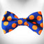 Polka Dot Dog Bow Tie - Your Pet Connection