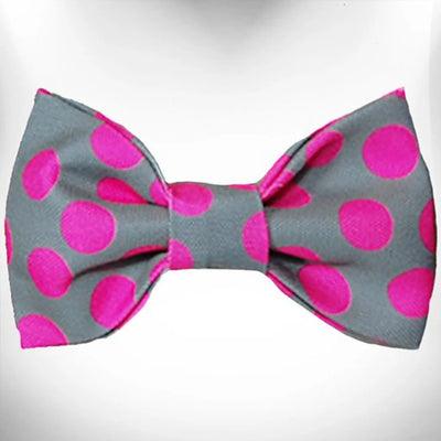 Polka Dot Dog - Neon Bow Tie - Your Pet Connection