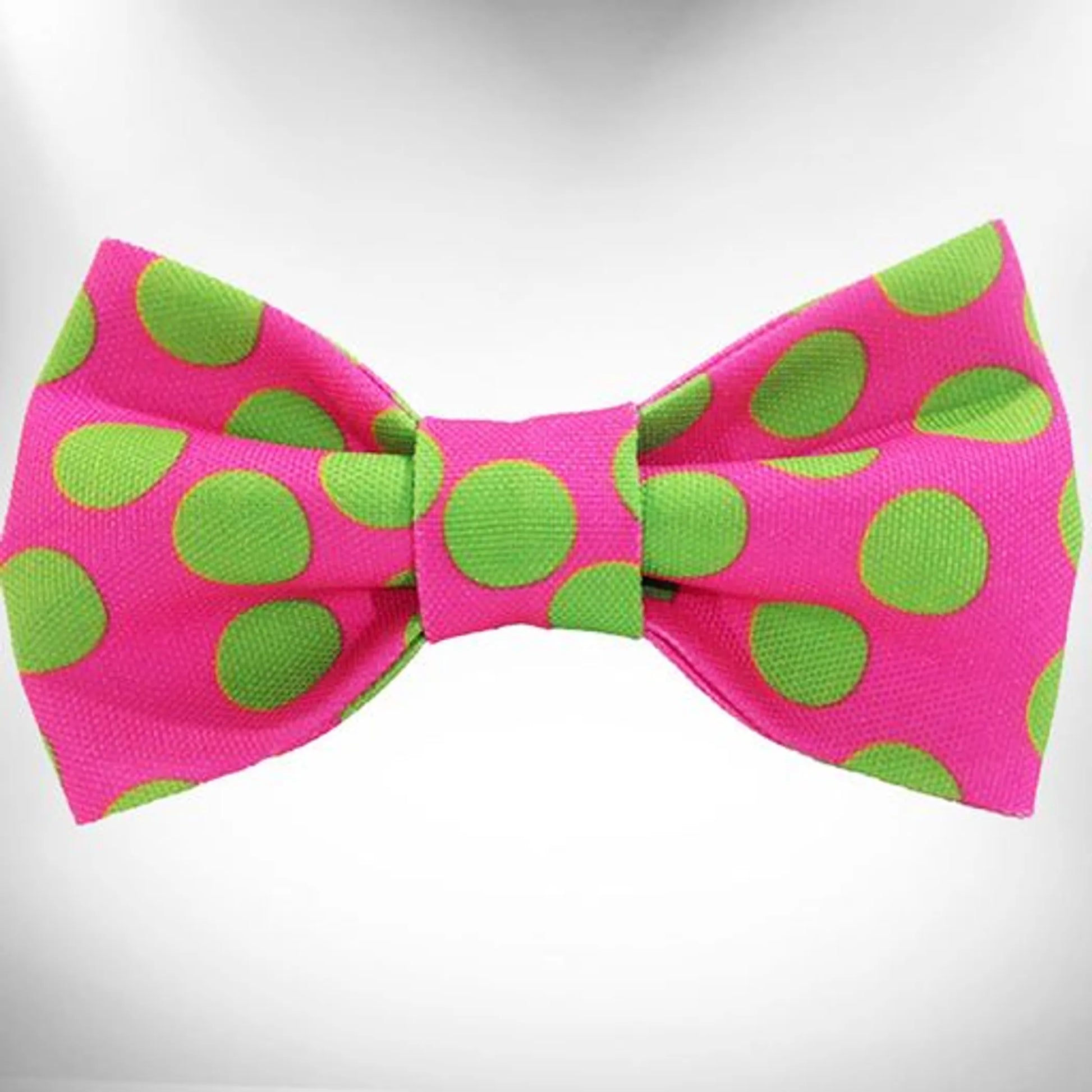 Polka Dot Dog - Neon Bow Tie - Your Pet Connection