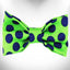 Polka Dot Dog - Neon Bow Tie - Your Pet Connection