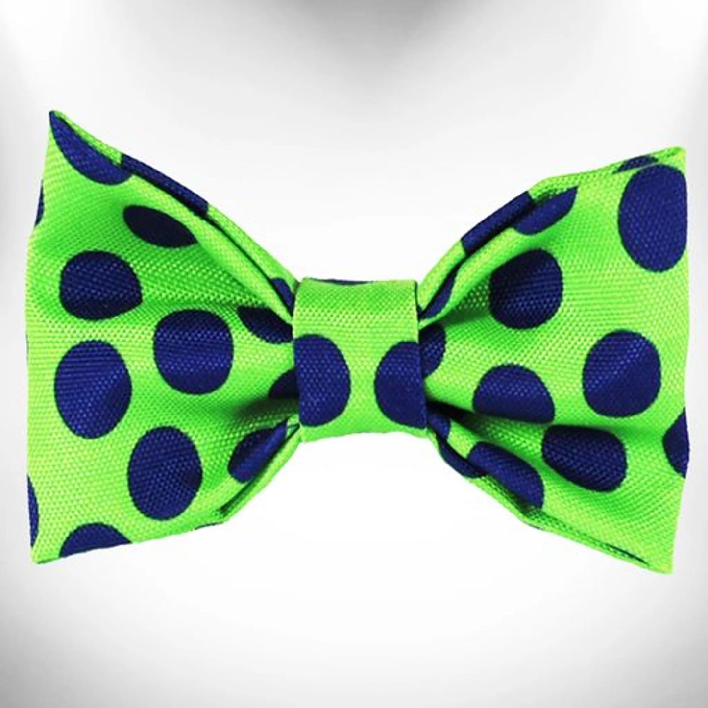 Polka Dot Dog - Neon Bow Tie - Your Pet Connection