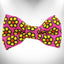 Flower Dog Bow Tie - Your Pet Connection