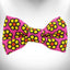 Daisies Doggie Bow Tie - Your Pet Connection