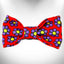 Flower Dog Bow Tie - Your Pet Connection