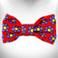 Walk-e-Woo Floral Dog Bow Tie, Size S or L