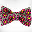 Walk-e-Woo Vibrant Flower Collar Medium