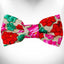 Walk-e-Woo Stylish Dog Bow Tie Size L