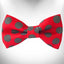 Polka Dot Dog Bow Tie - Your Pet Connection