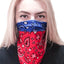 Sport Bandana - Your Pet Connection