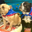 Walk-e-Woo Reversible Dog Bandana Large