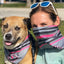Sport Bandana - Your Pet Connection