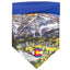 Sport Bandana - Your Pet Connection