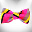 Stripes Doggie Bow Tie - Your Pet Connection
