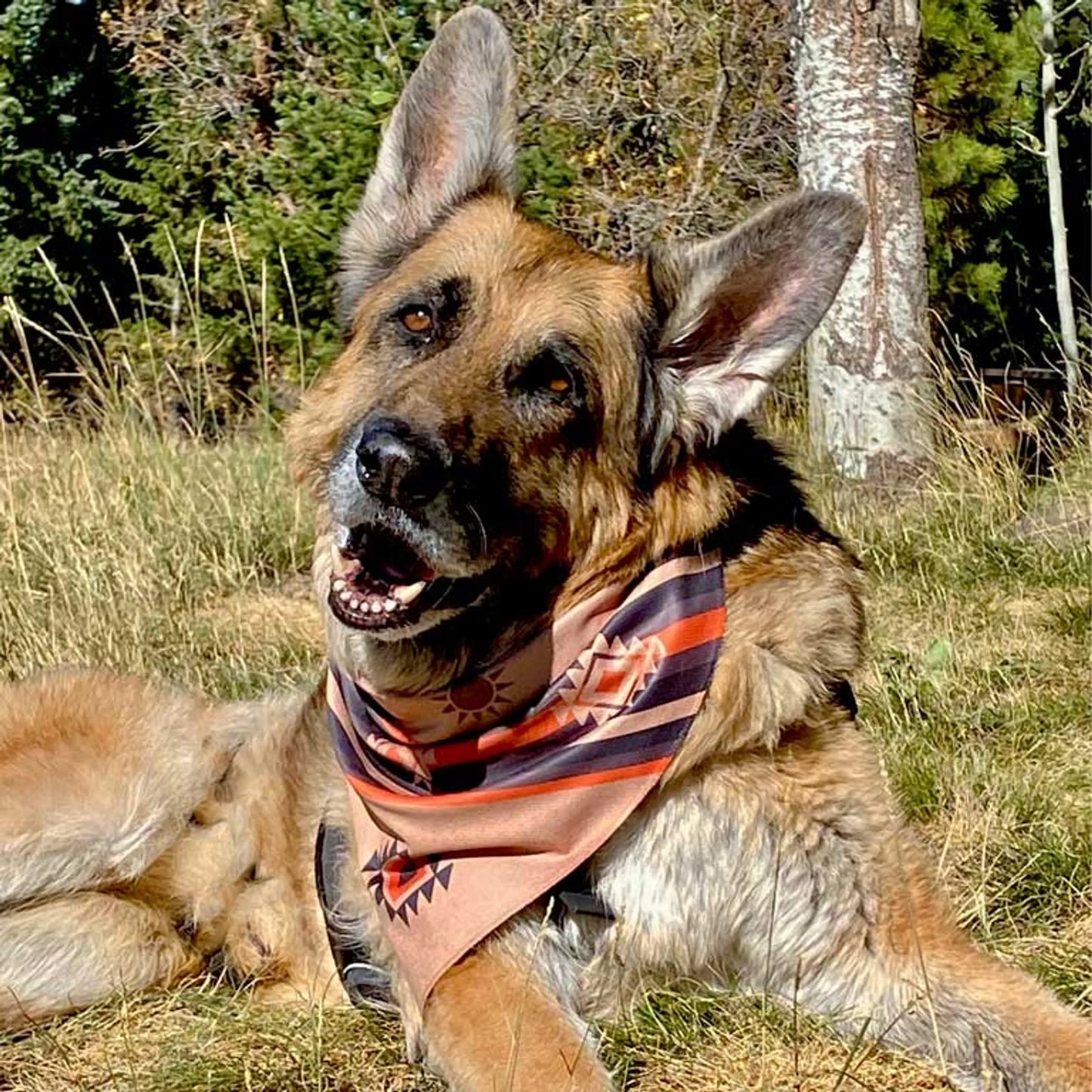 Dog Bandana - Your Pet Connection