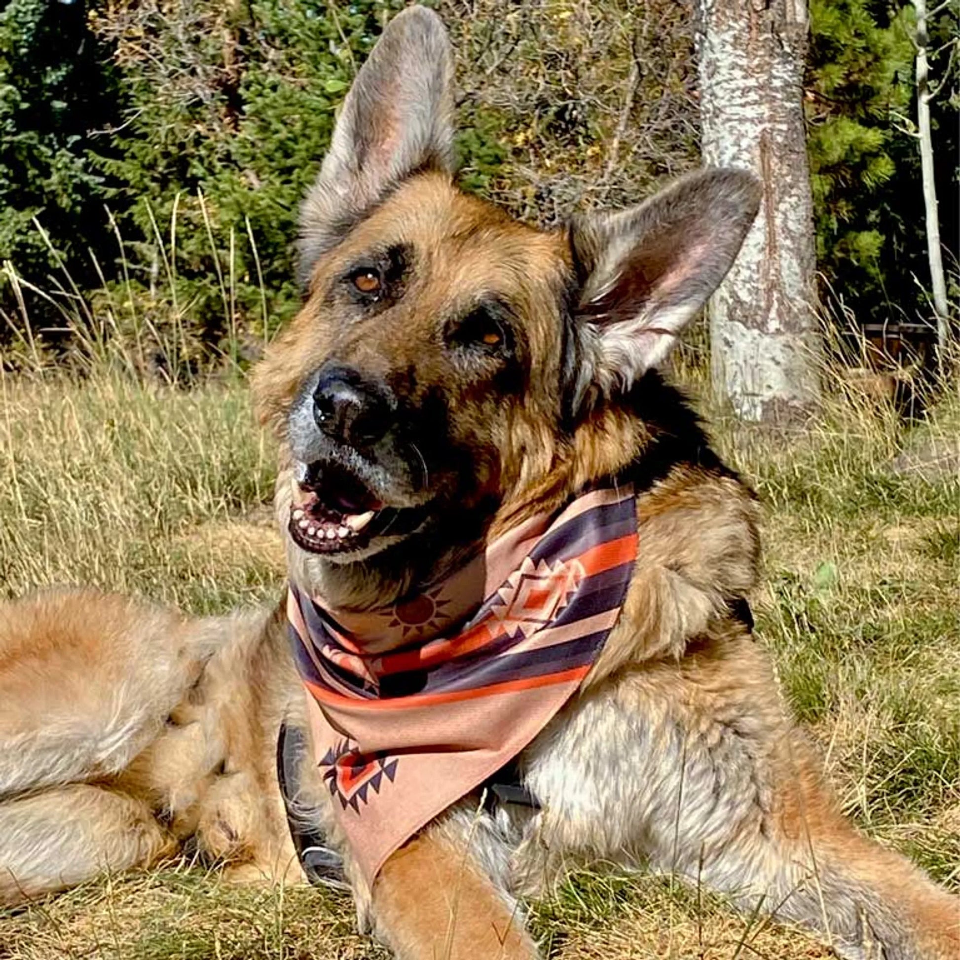 Dog Bandana - Your Pet Connection