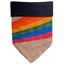 Sport Bandana - Your Pet Connection