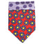 Sport Bandana - Your Pet Connection