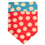 Sport Bandana - Your Pet Connection