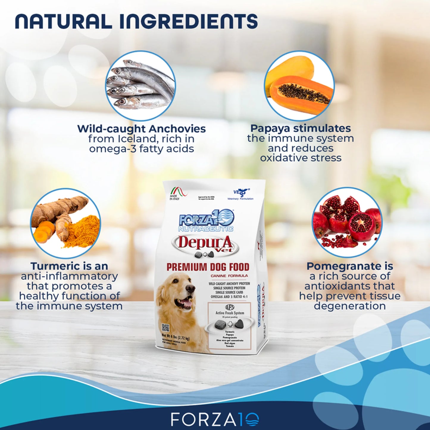Forza10 Active Depura Fish Diet Dry Dog Food - Your Pet Connection